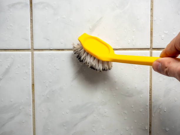 Best Commercial Mold Removal  in North Hudson, WI