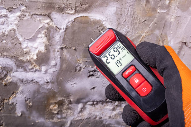 Best Home Mold Removal  in North Hudson, WI