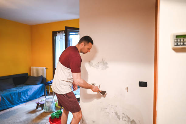 Best Toxic Mold Removal  in North Hudson, WI